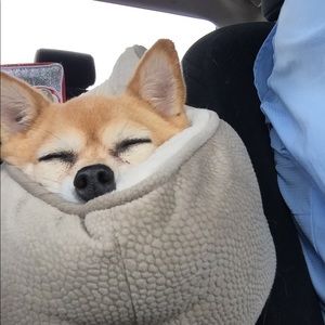 Meet your Posher, Marsha